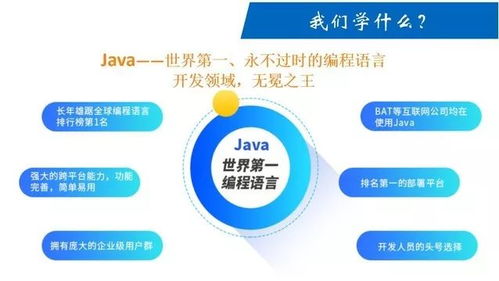 提前招生專業(yè) 計算機與軟件學院計算機軟件開發(fā)